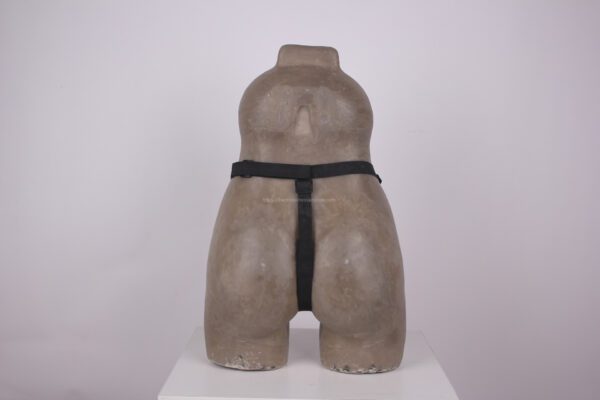 Silicone Cameltoe T Back Thong Camel Toe Brief Crossdresser Underwear(19)